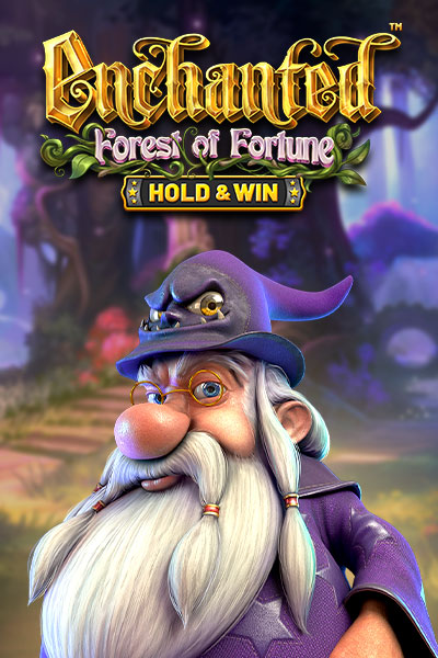 Enchanted: Forest of Fortune